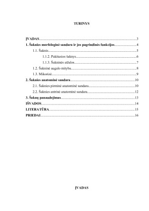 Šaknies sandara, funkcijos ir reikšmė augalo gyvybiniams procesams