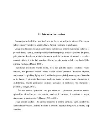 Šaknies sandara, funkcijos ir reikšmė augalo gyvybiniams procesams. Paveikslėlis 10