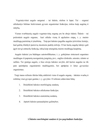 Šaknies sandara, funkcijos ir reikšmė augalo gyvybiniams procesams. Paveikslėlis 2