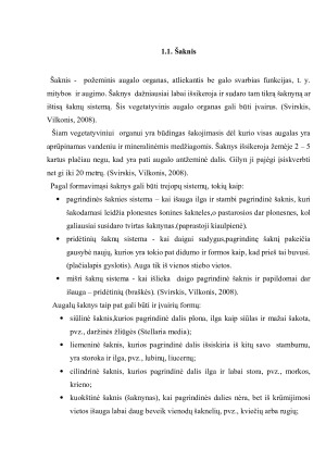 Šaknies sandara, funkcijos ir reikšmė augalo gyvybiniams procesams. Paveikslėlis 3