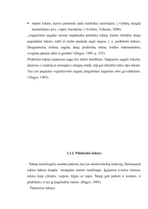 Šaknies sandara, funkcijos ir reikšmė augalo gyvybiniams procesams. Paveikslėlis 4