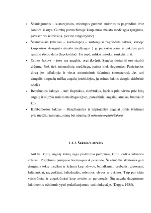 Šaknies sandara, funkcijos ir reikšmė augalo gyvybiniams procesams. Paveikslėlis 5