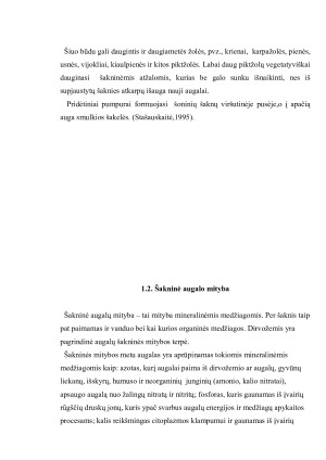 Šaknies sandara, funkcijos ir reikšmė augalo gyvybiniams procesams. Paveikslėlis 6