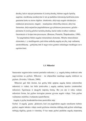 Šaknies sandara, funkcijos ir reikšmė augalo gyvybiniams procesams. Paveikslėlis 7