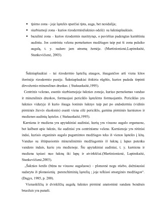 Šaknies sandara, funkcijos ir reikšmė augalo gyvybiniams procesams. Paveikslėlis 9