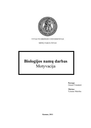 Motyvacija. Paveikslėlis 1