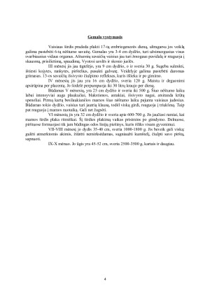 Neigiamų faktorių poveikis gemalo vystymuisi. Paveikslėlis 4