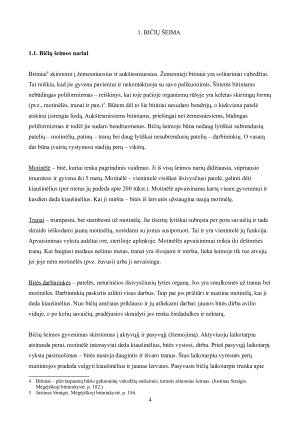 Bičių sociobiologija. Paveikslėlis 4