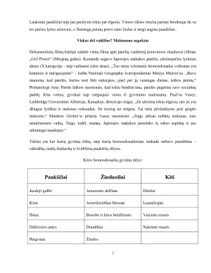 HOMOSEKSUALIZMAS TARP GYVŪNŲ. Paveikslėlis 7