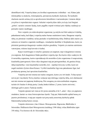 Planktoninės verpetės. Paveikslėlis 3