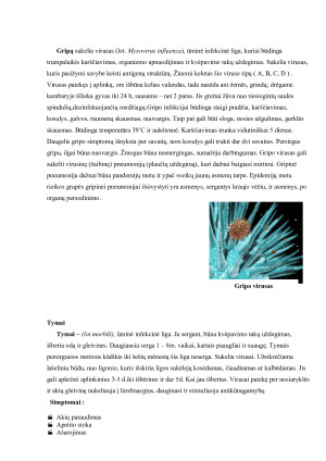 Virusai kaip ligų sukėlėjai. Paveikslėlis 8