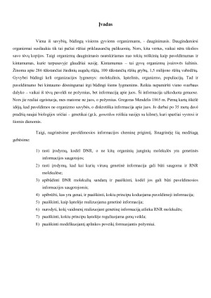 Genetinė informacija. Paveikslėlis 3