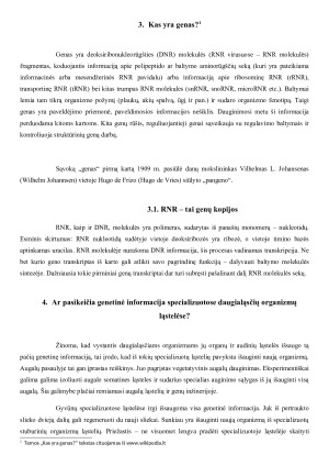 Genetinė informacija. Paveikslėlis 6