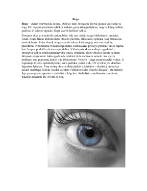 Jutimo organų reikšmė žmogaus gyvenime. Paveikslėlis 3