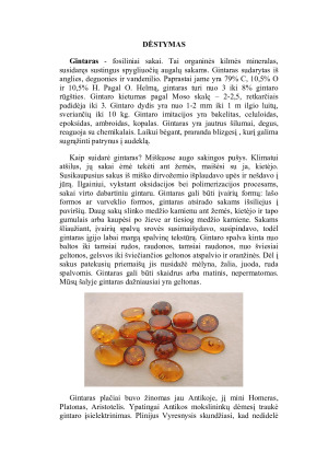 Gintaras – Lietuvos auksas. Paveikslėlis 2