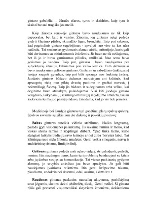 Gintaras – Lietuvos auksas. Paveikslėlis 4