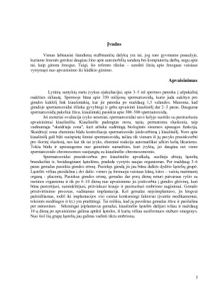 Žmogaus gimimas. Paveikslėlis 3