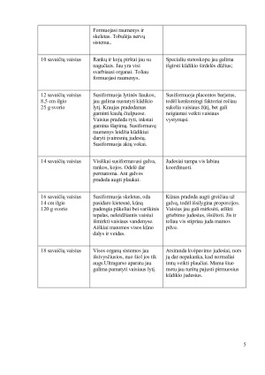 Žmogaus gimimas. Paveikslėlis 5
