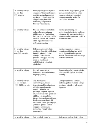 Žmogaus gimimas. Paveikslėlis 6