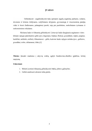 Studentų aktyvumo, bendravimo ir kritinio mąstymo ugdymas per veiklą. Paveikslėlis 2