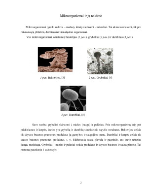Mikrobai ir temperatūra. Paveikslėlis 4