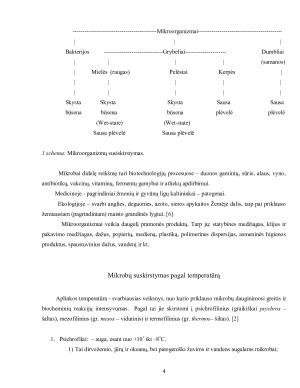 Mikrobai ir temperatūra. Paveikslėlis 5