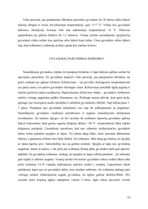 VEGETATYVINIS AUGALŲ DAUGINIMAS. Paveikslėlis 10