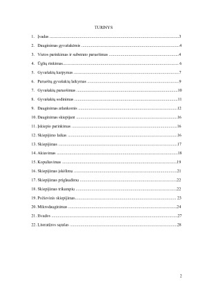 VEGETATYVINIS AUGALŲ DAUGINIMAS. Paveikslėlis 2