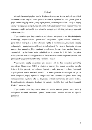 VEGETATYVINIS AUGALŲ DAUGINIMAS. Paveikslėlis 3