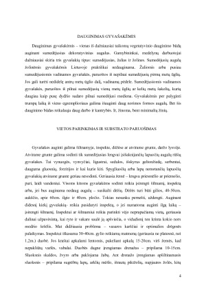 VEGETATYVINIS AUGALŲ DAUGINIMAS. Paveikslėlis 4