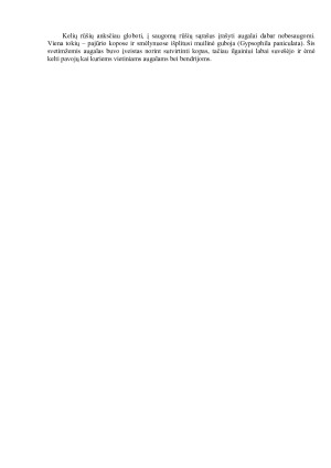 Retieji Lietuvos augalai. Paveikslėlis 4