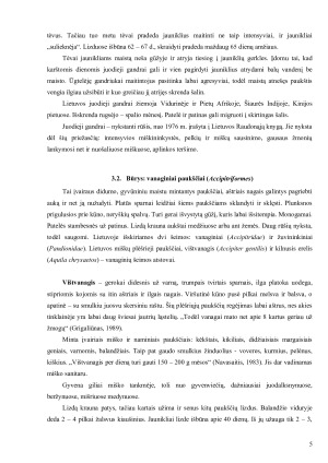 Lietuvos miškuose ir krūmynuose gyvenantys paukščiai ir jų reikšmė ekosistemoje. Paveikslėlis 5