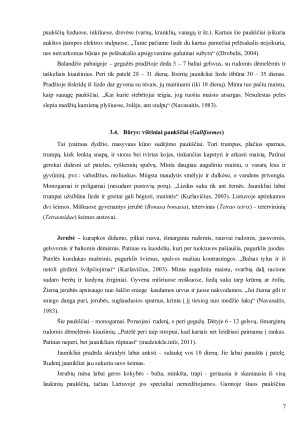 Lietuvos miškuose ir krūmynuose gyvenantys paukščiai ir jų reikšmė ekosistemoje. Paveikslėlis 7