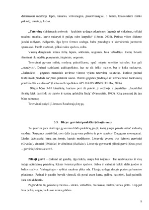 Lietuvos miškuose ir krūmynuose gyvenantys paukščiai ir jų reikšmė ekosistemoje. Paveikslėlis 8