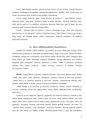 Lietuvos miškuose ir krūmynuose gyvenantys paukščiai ir jų reikšmė ekosistemoje. Paveikslėlis 9