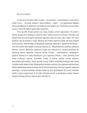 Evoliucijos samprata ir žmogaus kilmės raida. Paveikslėlis 2