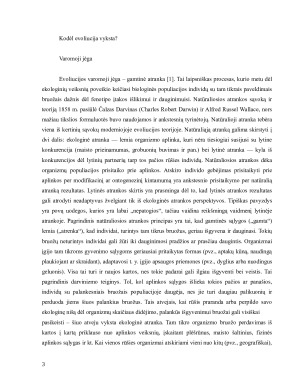 Evoliucijos samprata ir žmogaus kilmės raida. Paveikslėlis 3