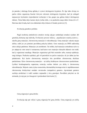 Evoliucijos samprata ir žmogaus kilmės raida. Paveikslėlis 4