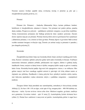 Evoliucijos samprata ir žmogaus kilmės raida. Paveikslėlis 6