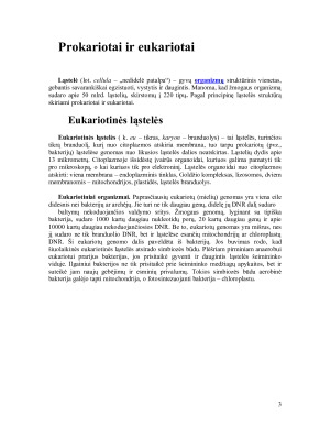 Eukariotų ir prokariotų ląstelių ypatumai. Paveikslėlis 3