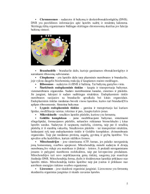 Eukariotų ir prokariotų ląstelių ypatumai. Paveikslėlis 5
