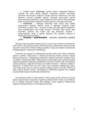 Eukariotų ir prokariotų ląstelių ypatumai. Paveikslėlis 6