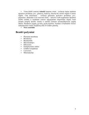 Eukariotų ir prokariotų ląstelių ypatumai. Paveikslėlis 8