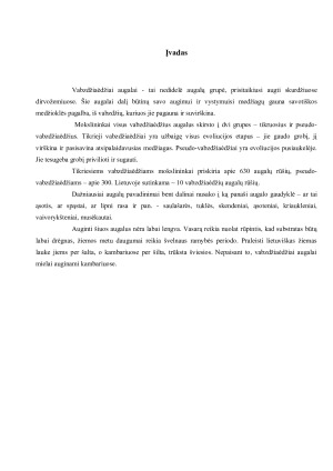 VABZDŽIAĖDŽIAI AUGALAI AUGINAMI KAMBARIUOSE. Paveikslėlis 2