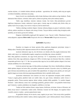 VABZDŽIAĖDŽIAI AUGALAI AUGINAMI KAMBARIUOSE. Paveikslėlis 5