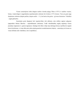 VABZDŽIAĖDŽIAI AUGALAI AUGINAMI KAMBARIUOSE. Paveikslėlis 7