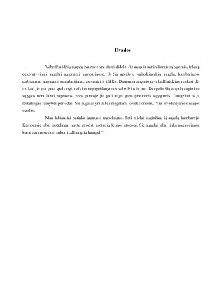 VABZDŽIAĖDŽIAI AUGALAI AUGINAMI KAMBARIUOSE. Paveikslėlis 8