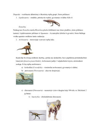ROPLIŲ ĮVAIROVĖ IR PAPLITIMAS. Paveikslėlis 5