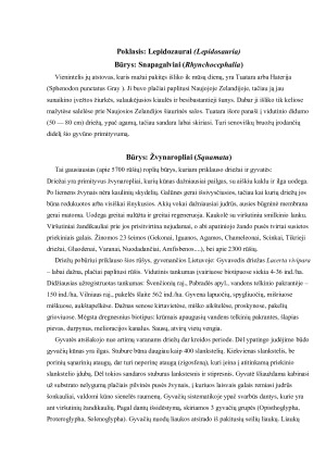 ROPLIŲ ĮVAIROVĖ IR PAPLITIMAS. Paveikslėlis 8