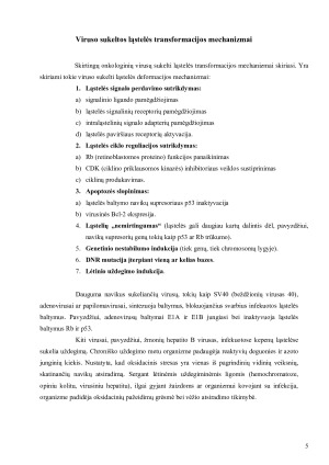 Virusų genetinės modifikacijos. Paveikslėlis 5